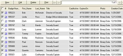 ID Flow Spreadsheet View