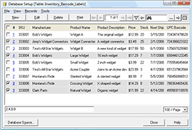 Database Manager